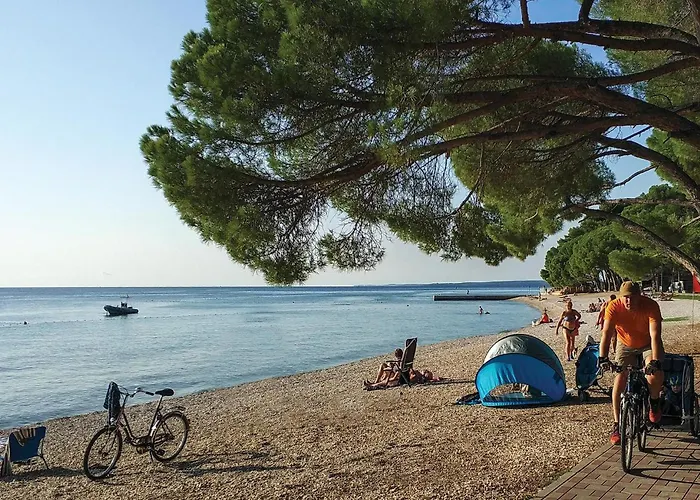 Apartamento Beautiful In With Wifi